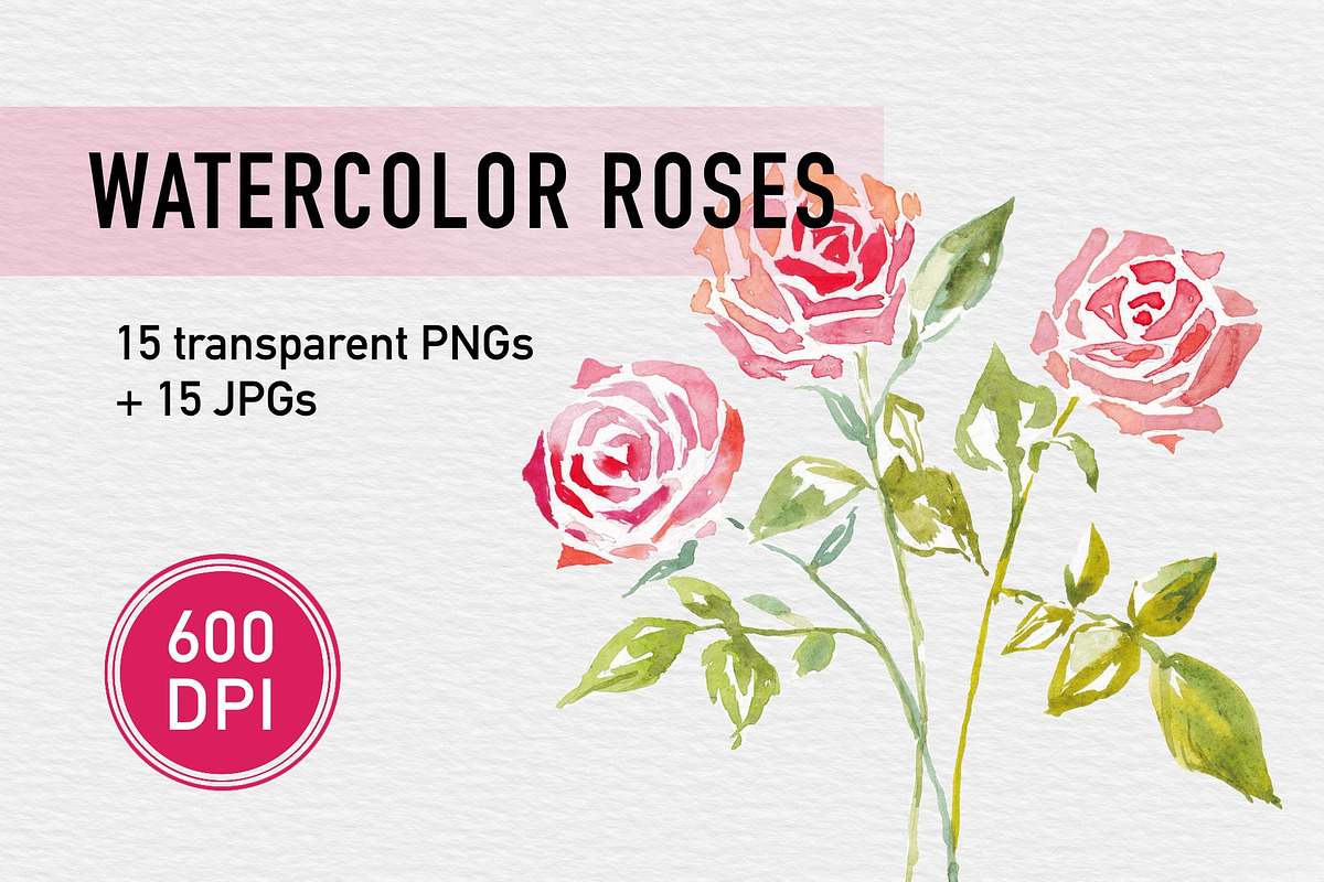 Watercolor Roses set 600 DPI, a Decorative Illustration by byJuliaKors (Photo 1 of 3)