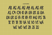 Natural Imperfect Whimsical Display, a Sans Serif Font by Typetemp Studio (Thumbnail 12 of 14)
