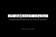 50%Off - Huge Script Family, a Script Font by vectalex (Thumbnail 3 of 9)