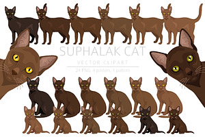 Suphalak cat clipart