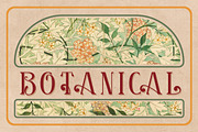 Roseva, a Serif Font by kerismaker (Thumbnail 10 of 12)