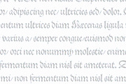 1543 German Deluxe Complete Set, a Blackletter Font by GLC Foundry (Thumbnail 5 of 7)