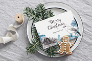 Vintage Winter Plants Collection, an Object Graphic by Yevheniia (Thumbnail 8 of 8)