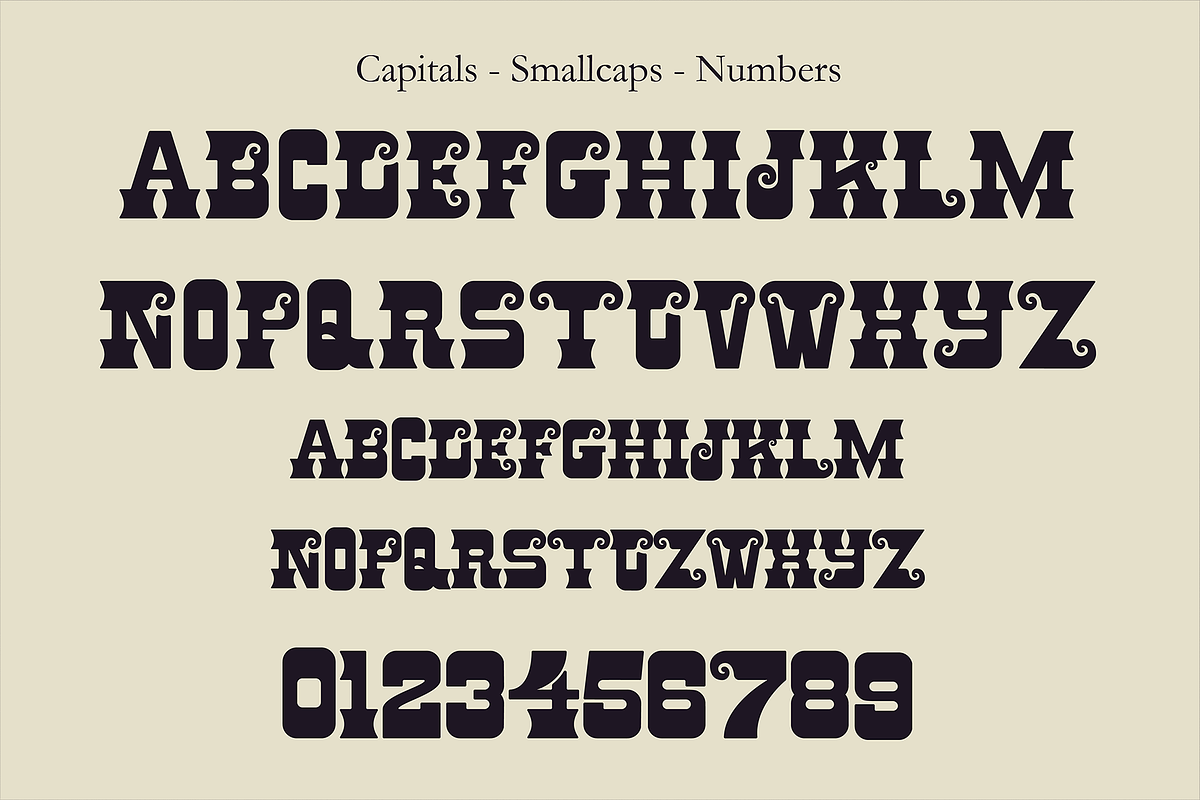 La Luna - Display Typeface, a Slab Serif Font by ZimlichMediaDesign (Photo 2 of 5)
