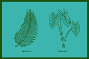 Vintage Tropical Flora Illustrations, an Object Illustration by Jaclyn Caris (Thumbnail 9 of 15)