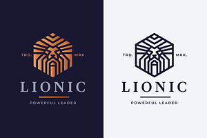 Lionic Lion Head Logo, a Branding & Logo Template by Design_Planet