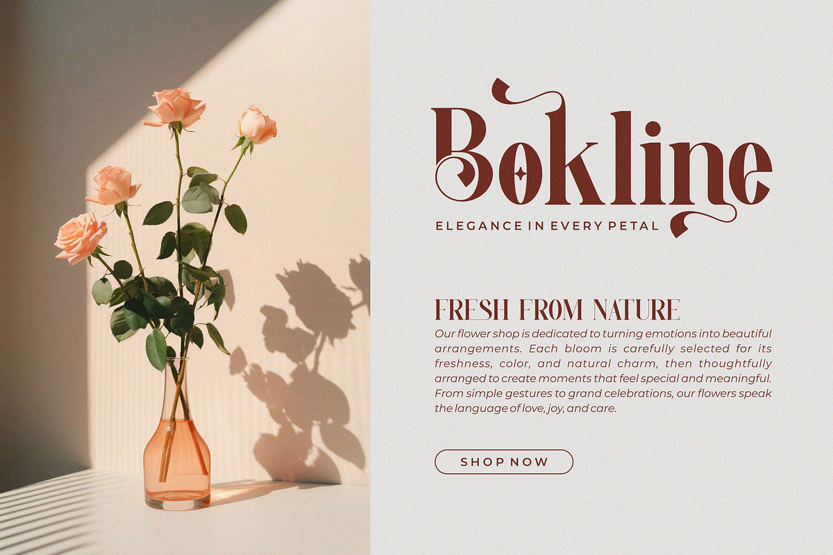 Vendita || Modern Elegant Serif Font, a Sans Serif Font by Ermedia Studio (Photo 6 of 10)