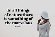 Backseat - Serif Typeface, a Serif Font by Brand Type (Thumbnail 6 of 8)