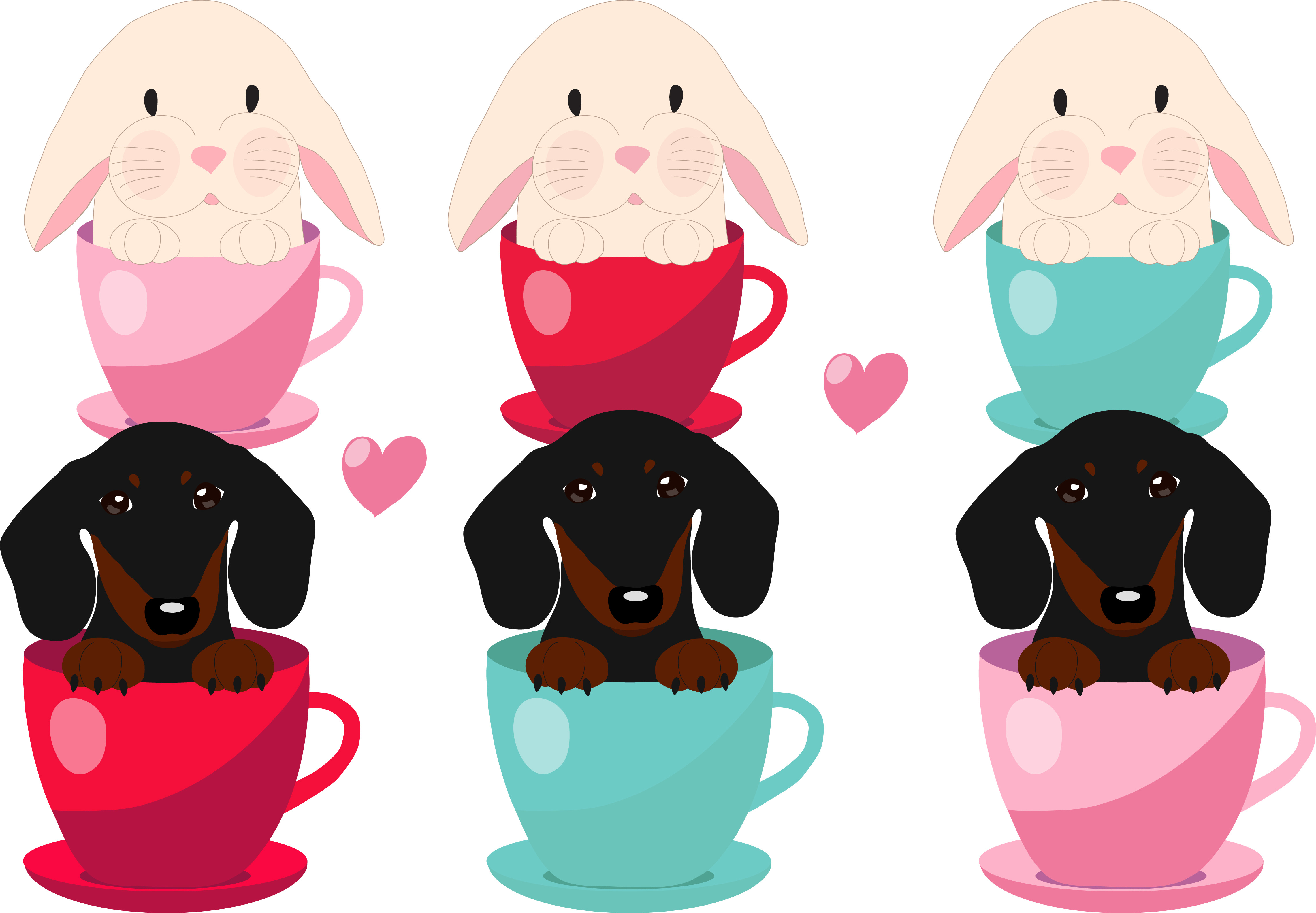 Dachshund and rabbit in the Cup, an Object Graphic by Orangepencil