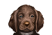 Puppies Dog Breeds Big Bundle 135Pcs, an Animal Illustration by Dneprstock (Thumbnail 21 of 68)