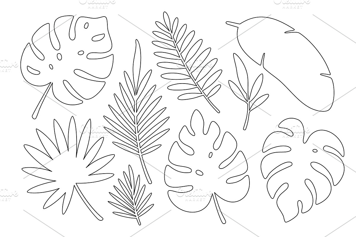 Minimalist tropical outline leaves, an Illustration by GraphiShop