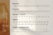 Delicate Calligraphy Elegant Serif, a Serif Font by Vampstudio (Thumbnail 14 of 14)