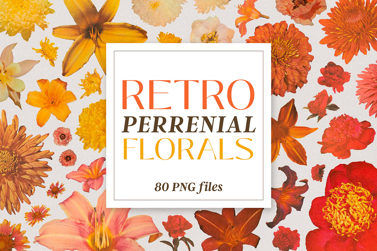 Retro Perennial Vintage Floral PNGs, an Object Graphic by Ashley Alexandra Design (Photo 1 of 9)