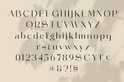 Molgeth - Aesthetic Sans Serif, a Sans Serif Font by Variatype (Thumbnail 14 of 15)