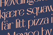 Niasec Lux Elegant Display Font, a Sans Serif Font by Casloop Studio (Thumbnail 10 of 15)