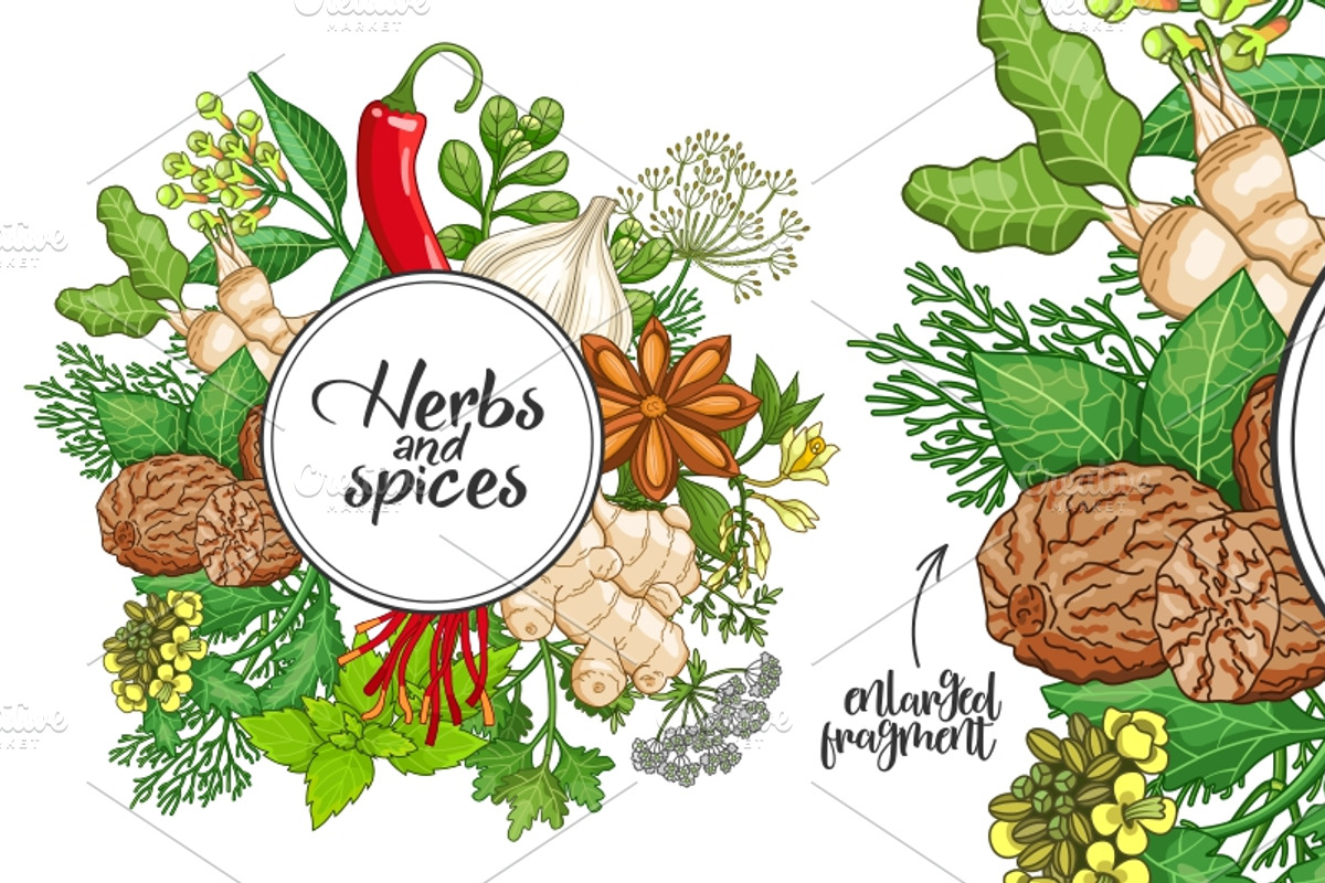 Hot spices and herbs templates, a Food Illustration by Primula`s shop (Photo 3 of 4)