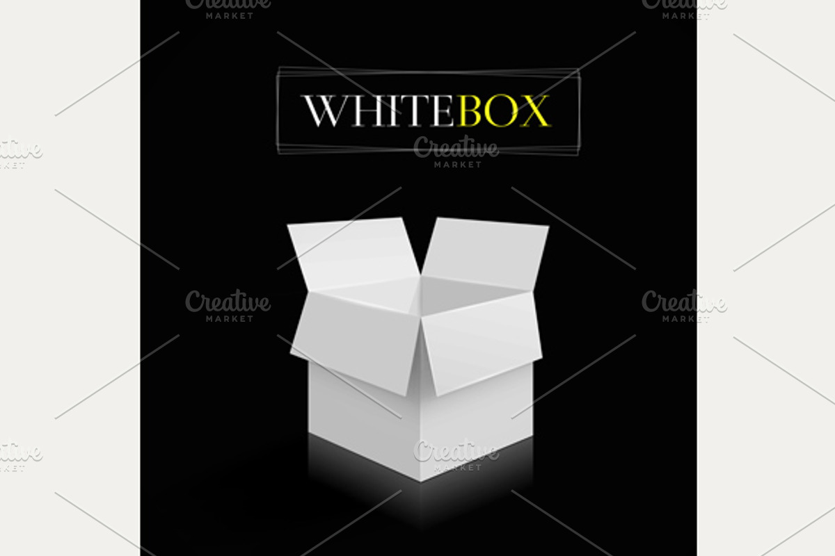 carton box preview 3
