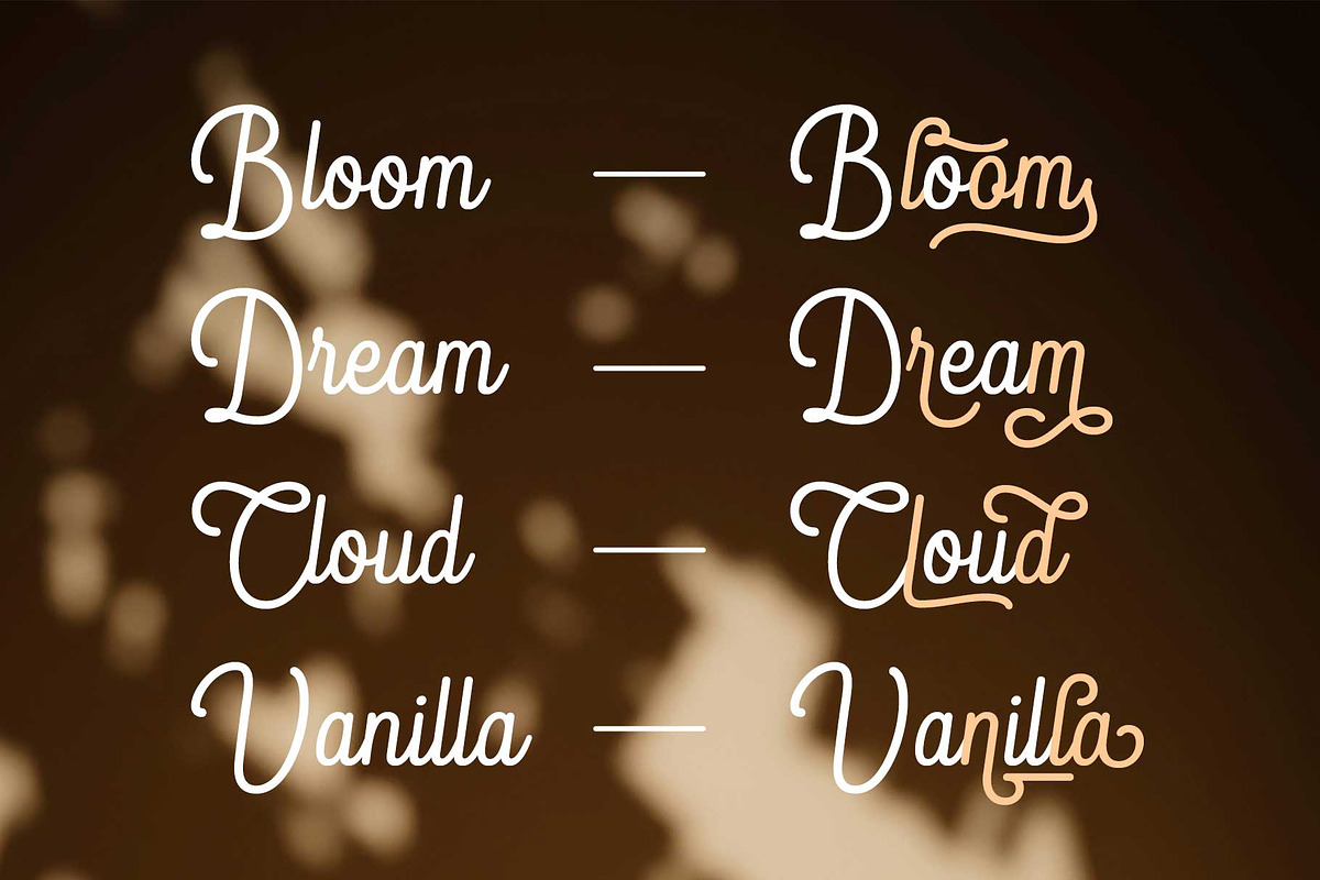 Blandony - Modern Vintage Monoline, a Script Font by Novitype (Photo 7 of 12)