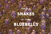 Cleburne Sans - Display Font, a Sans Serif Font by Sombrero Craft (Thumbnail 8 of 8)
