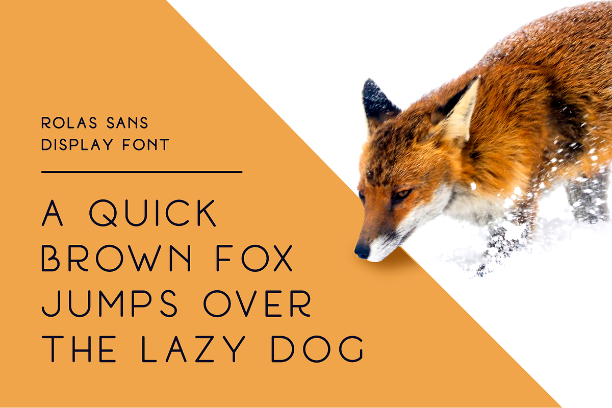 Rolas Sans - Display Font preview 2