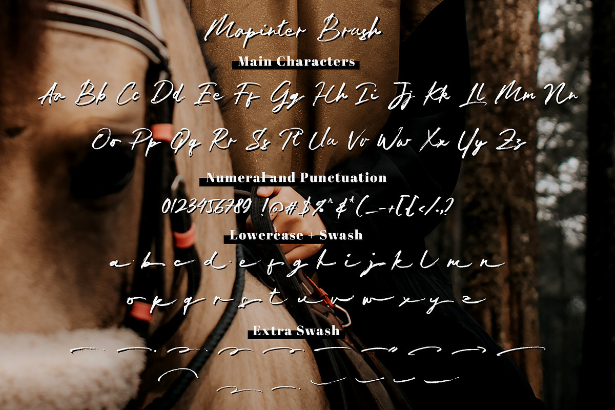 Jan Satipo Brush Font, a Handwritten Font by Siwox Studios (Photo 7 of 8)