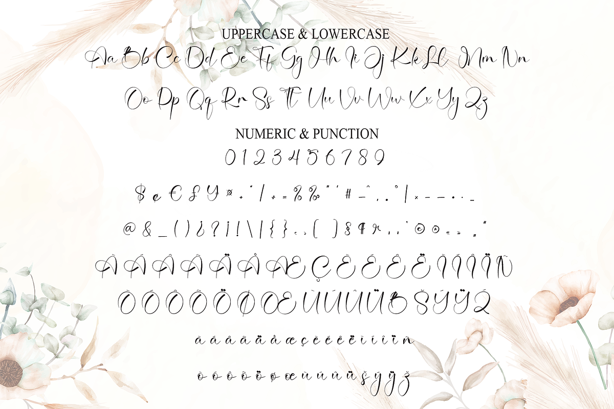 Agatha | Script Font, a Handwritten Font by Scratchones (Photo 7 of 8)