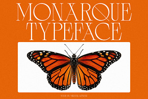 Monarque - Elegant & Chic Serif