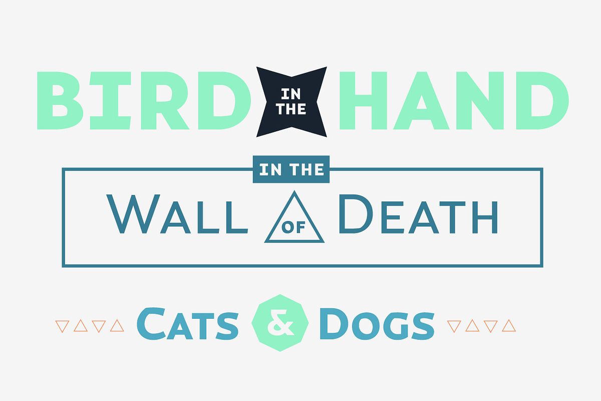 Magnetic Pro font family preview 5