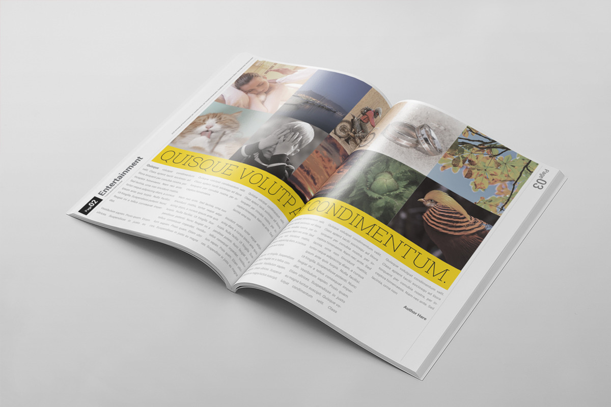 Magazine Template 42, a Magazine Template by pmvch (Photo 4 of 15)