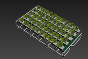 Hydroponics System S