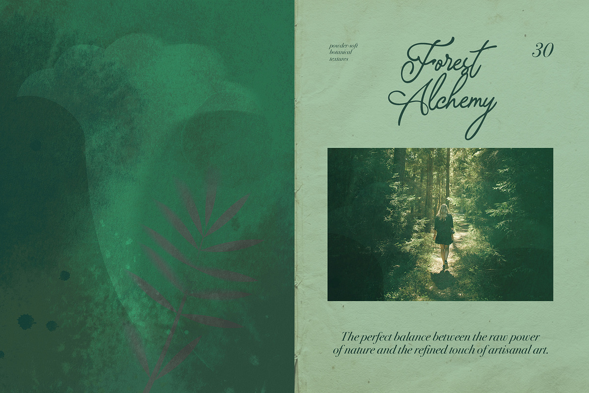 Mystical Botanical Backgrounds, a Background Graphic by Elena Pimonova (Photo 6 of 10)