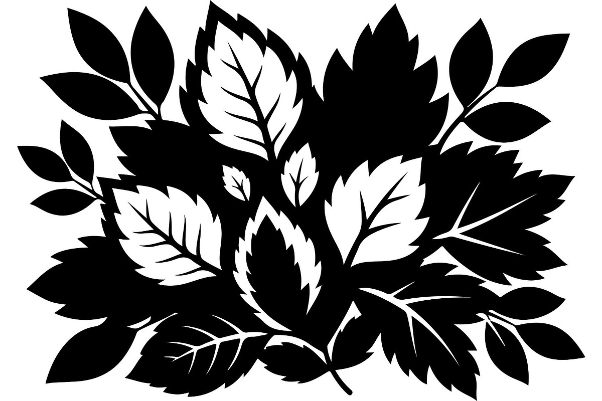 Botanical Leaf Silhouette, an Object Graphic by Creativeshirt (Photo 17 of 19)