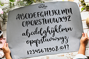 Lush Garden, a Script Font by Larin Type Co. (Thumbnail 6 of 8)