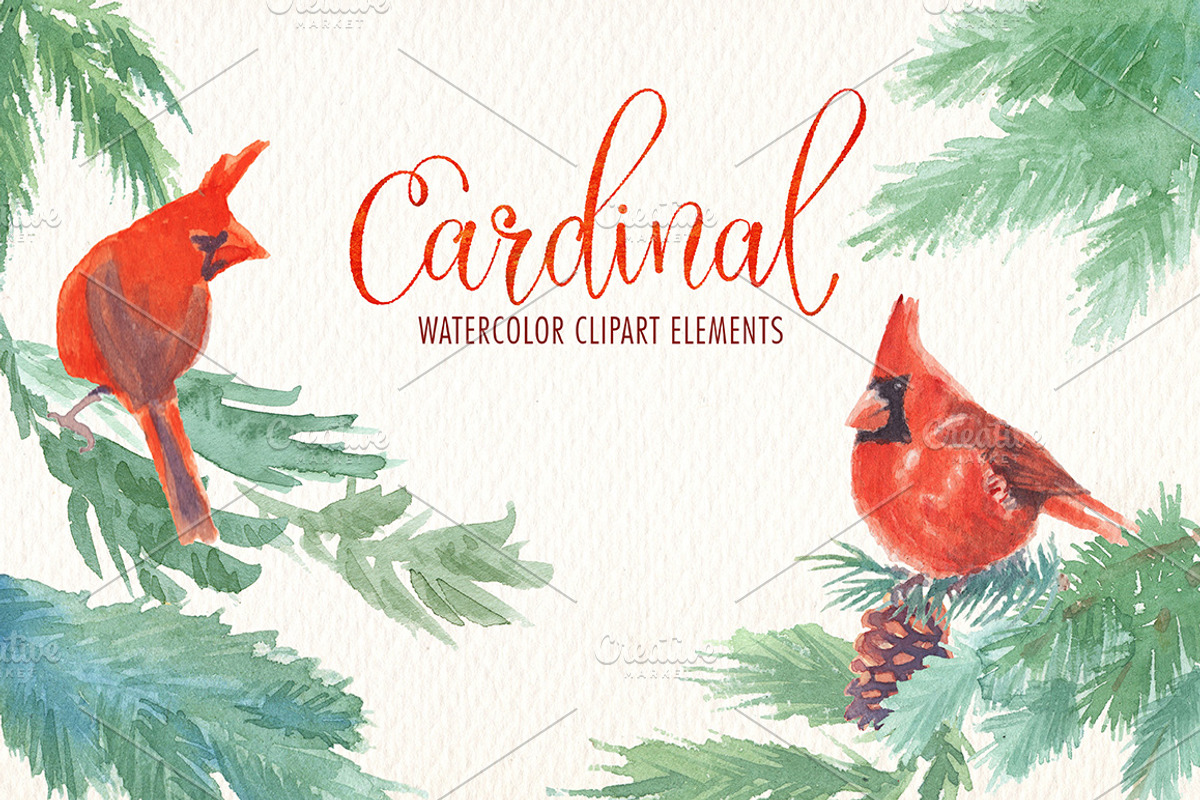 Cardinal bird watercolor clipart set, an Illustration by Art & Things (Photo 2 of 6)