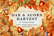 Oak&Acorn Harvest watercolor clipart, a Decorative Illustration by EL_SUHOVA (Thumbnail 1 of 14)