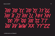 Nelda Logotype, a Script Font by ShowUp! Studio (Thumbnail 10 of 12)