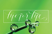 dermaga, a Script Font by NaldyStudio (Thumbnail 10 of 14)