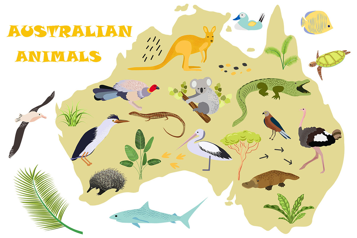 Australian Animals, an Animal Illustration by ViсkyArtDesign (Photo 1 of 10)