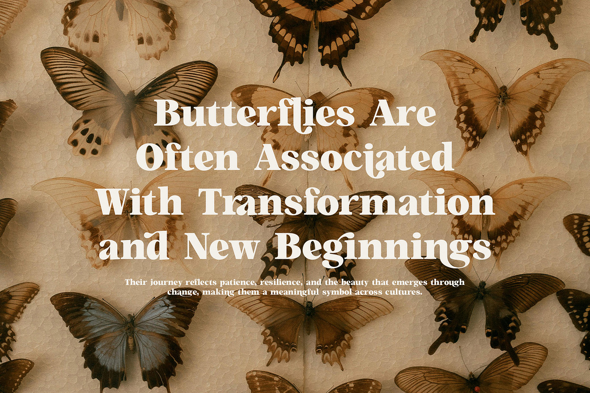 Magen Elegant Classic Serif Font, a Serif Font by Perfectype (Photo 4 of 8)