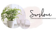 Gladline Script Font, a Script Font by alphadesign (Thumbnail 2 of 8)