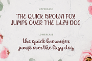 Allexa | Script Font, a Script Font by Suntype | Sunshine Std (Thumbnail 7 of 10)