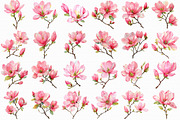 Watercolor Pink Magnolia clipart, an Illustration by Libby Wishes (Thumbnail 7 of 7)