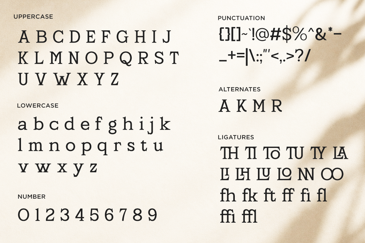 Agerlas - Stylish Modern Serif Font, a Serif Font by RagamKata (Photo 10 of 10)