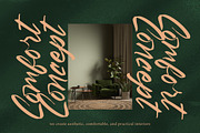 Pluretta Vintage Modern Brush Font, a Serif Font by Letterena Studios Script (Thumbnail 4 of 20)