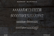 Dead Wood Serif Typeface, a Serif Font by infernostudio3 (Thumbnail 5 of 10)