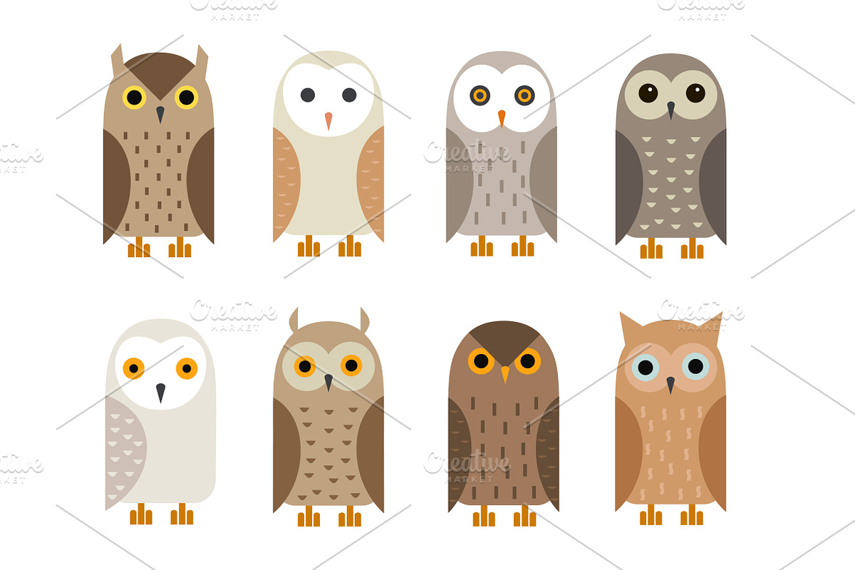 Cute flat owls set, an Animal Illustration by Anna Isaeva