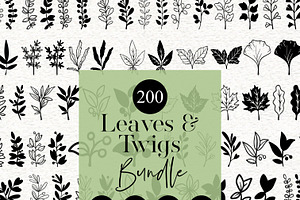 Leaves and Twigs PNG SVG Clipart