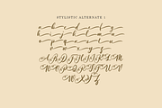 Almeythen | A Modern Script Font, a Script Font by Colllab Studio (Thumbnail 10 of 12)