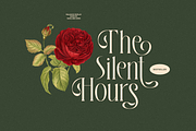 Palisade Display Font, a Serif Font by Sans & Sons (Thumbnail 9 of 10)