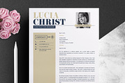JOB WINNING RESUME - 50 TEMPLATES, a Resume Template by ResumeInventor (Thumbnail 42 of 184)